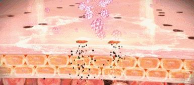 教你四个技巧拯救敏感肌,拿什么拯救敏感肌