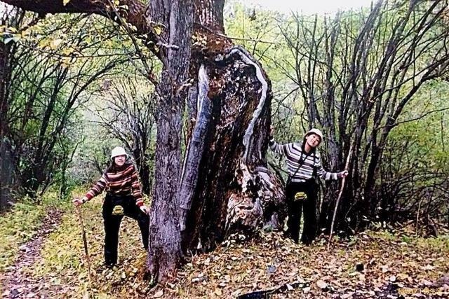 亚丁旅途,绝美亚丁