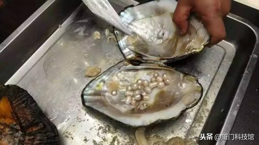 2018年厦门旅游购物陷阱,厦门旅游防被坑