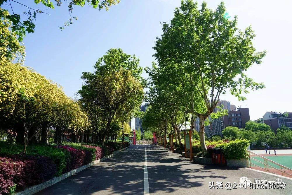 成都锦江师大一中,师大一中锦江学生