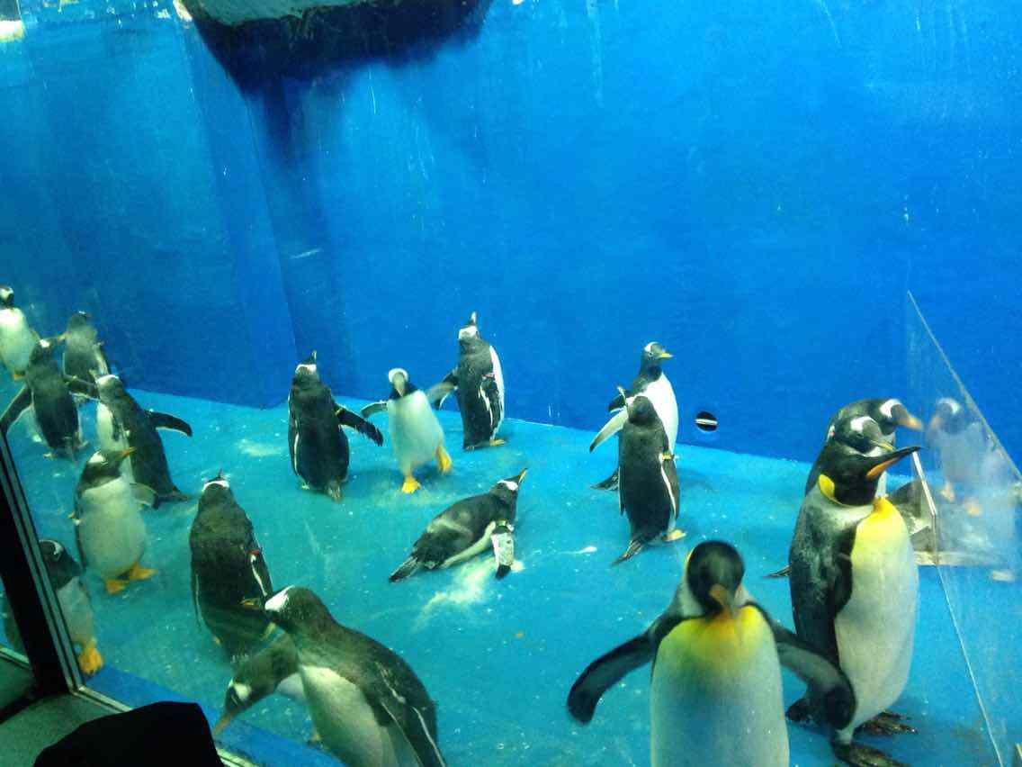 哈尔滨适合老人旅游的景点,哈尔滨十佳景区