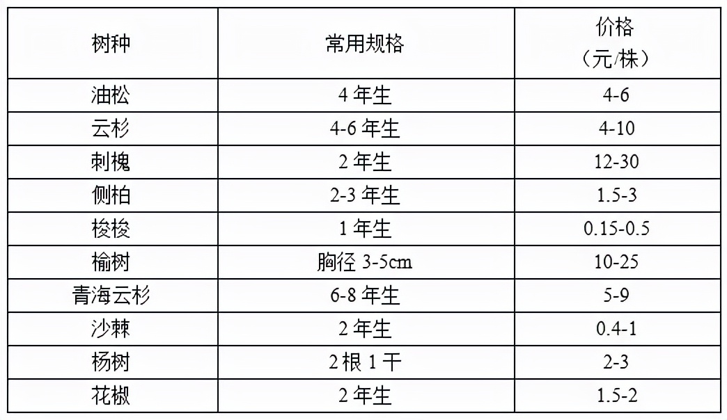2022年秋季全国各地苗木市场行情,2021年春季苗木行情分析报告