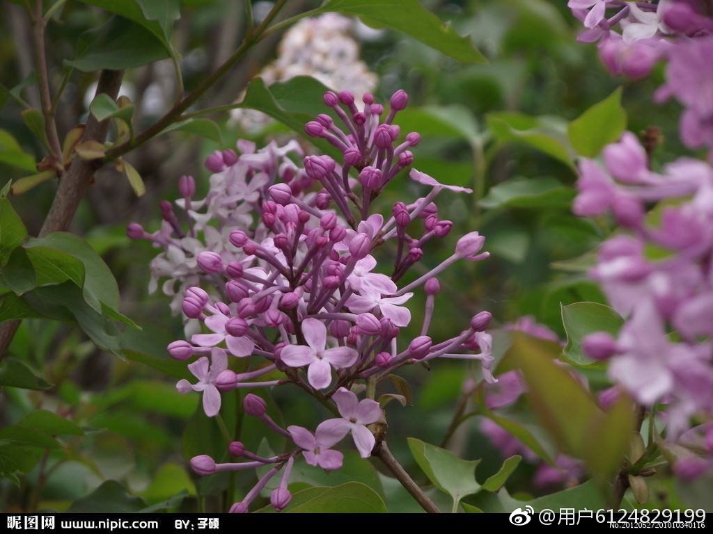 神奇的汉字（读音相同，含义相通82）