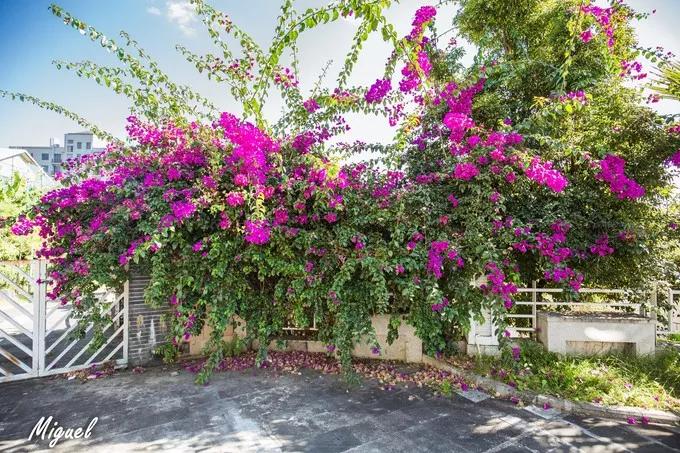 腾冲旅游攻略气温,腾冲深度旅游