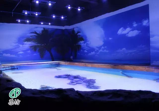 罗源湾海洋世界鲨鱼,汕头水母海洋世界图片