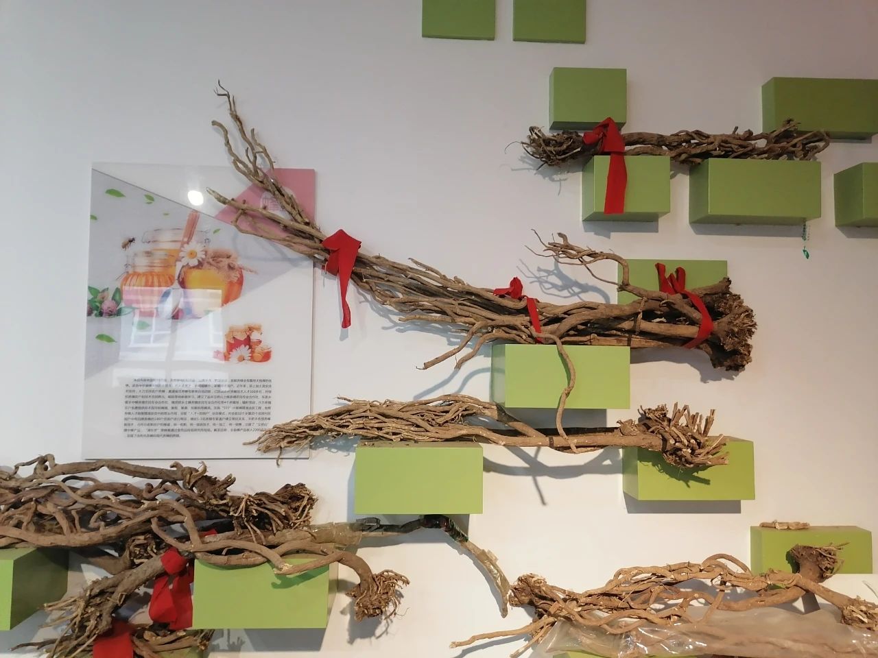 漳县电商创业,漳州市漳县电商网点