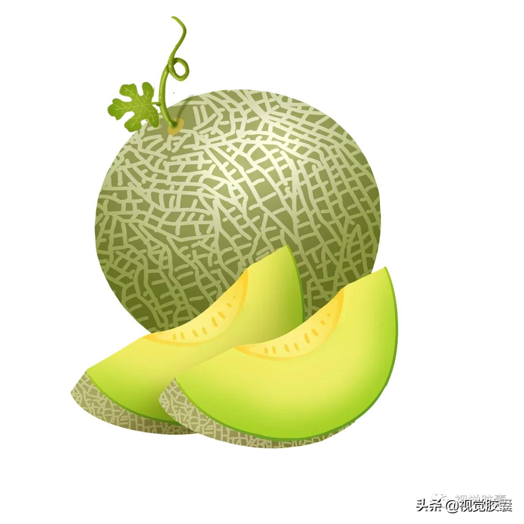 乡村蔬菜大棚的设计,蔬菜精美设计图片