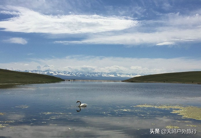 巴音布鲁克草原的特色,巴音布鲁克好吗