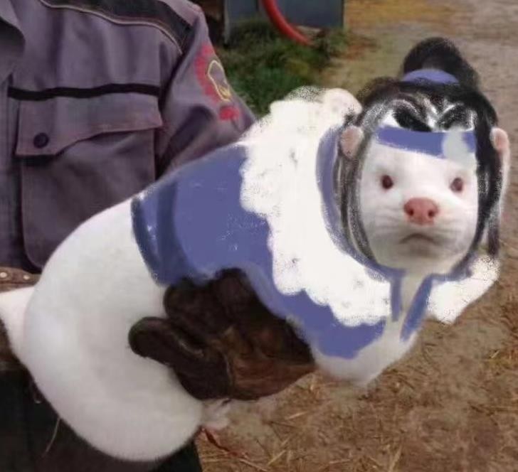 剑网3梯云纵技能,剑网三苍云吃鸡手法