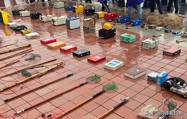 电鱼的危害会不会破坏生态环境,电鱼的副作用和危害