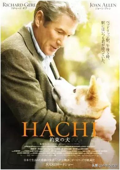 小包总和安迪离婚原因,小包总杨烁婚姻状况