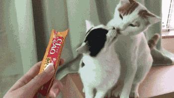 刚租的房子，打扫时发现的前租客留下的东西，要告诉房东吗？