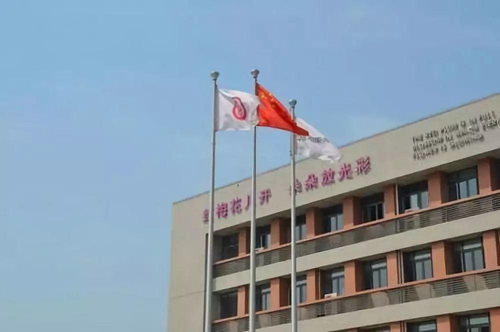 重庆小学学费一年多少钱,重庆小学为什么这么贵