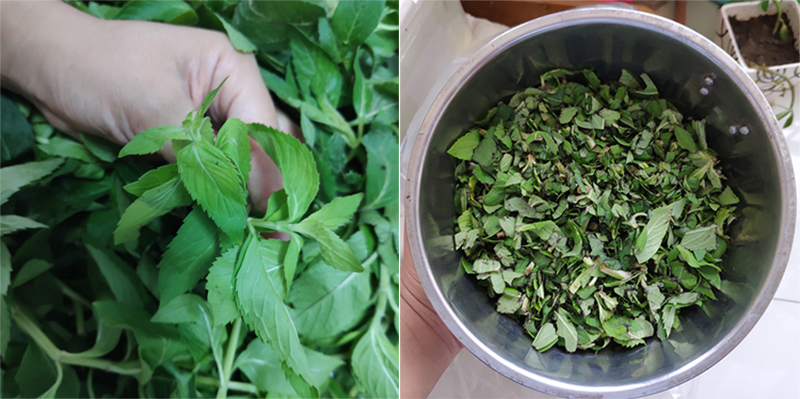 薄荷膏制作方法用什么油,薄荷膏的制作工具有哪些