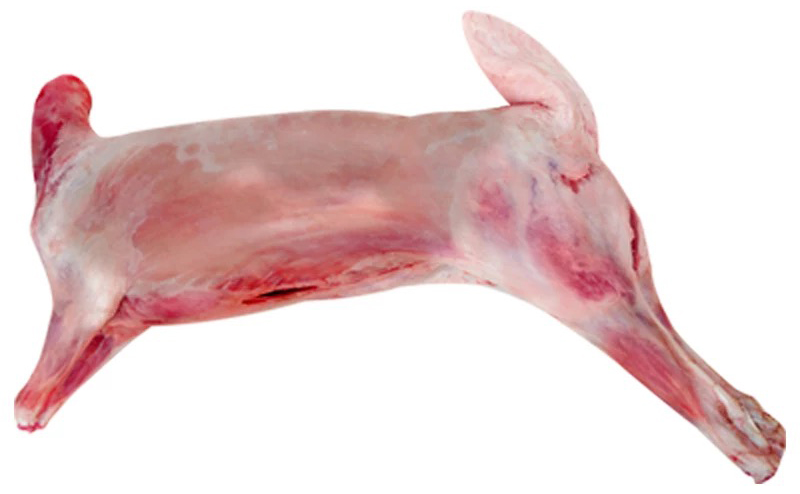 宁夏特产滩羊肉介绍,宁夏特产发菜