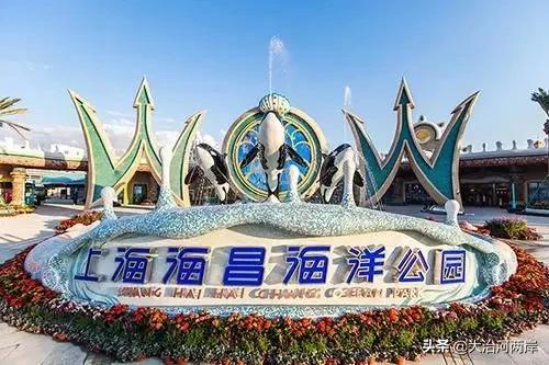 厉害了我的新东方,厉害了我的浦东