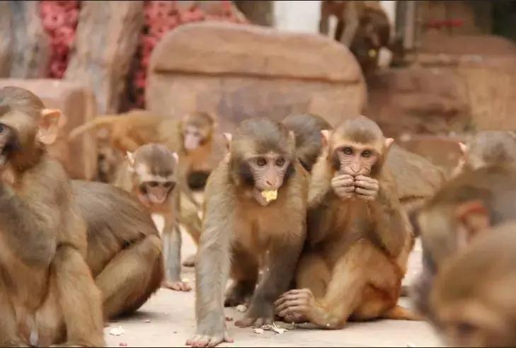 昆明周边游玩元旦景点推荐,元旦昆明周边游玩景点推荐