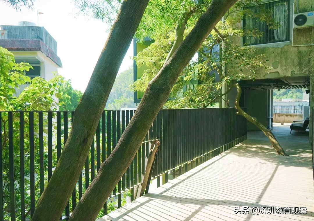 走名校vol.8|三年，明德国际体系走出怎样一条新路？