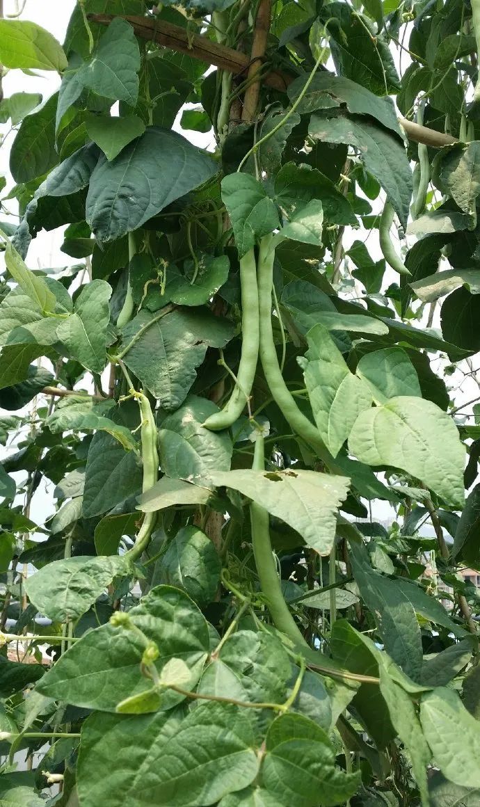 第1家国家4a级旅游区的大学博物馆,隐藏在各大校园里的有趣博物馆