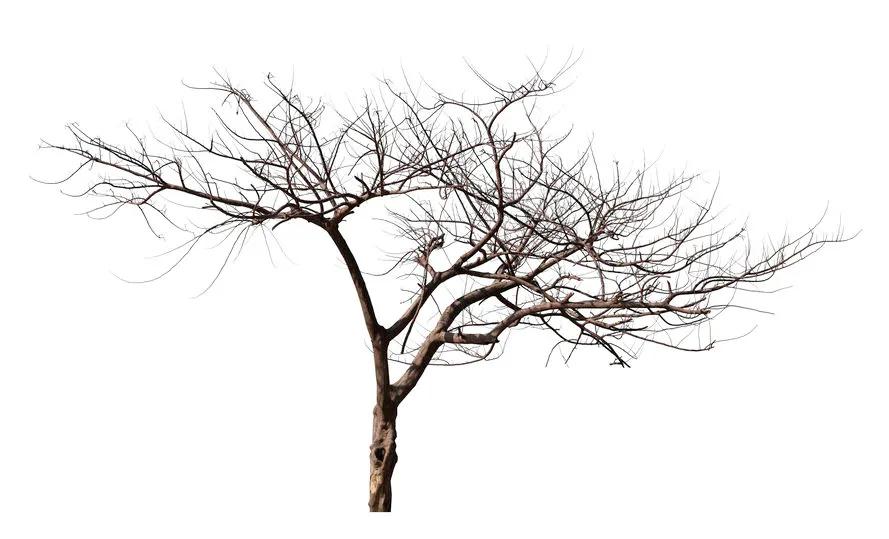 怎么样才叫脱发?会不会秃顶呢?医生教你1秒自测,超实用