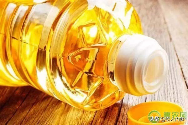 内蒙古葵花籽价格最新行情,菜籽油花生油葵花籽油多少钱一斤