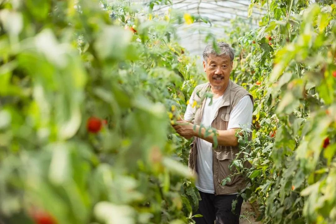 荷兰高科技有哪些,荷兰高科技农业有限公司