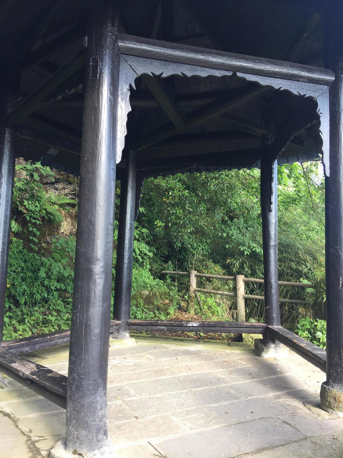 峨眉山登顶佛像,峨眉山登顶记完整版