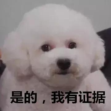 忍了一天,这部新剧,我有话说