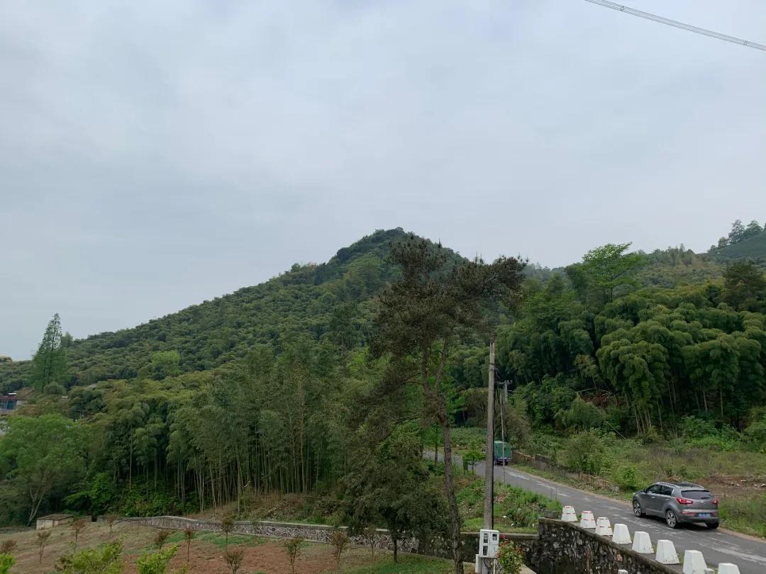 发展农业，土地*款贷**怎么贷？能贷多少？