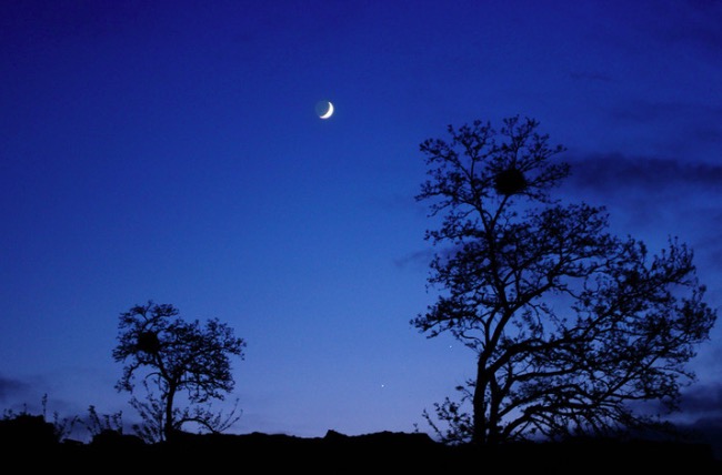 关于咏月的古诗李白写的,李白的咏月的五言绝句