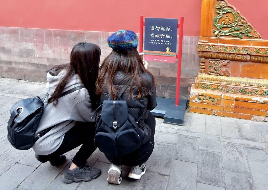 要翻身要流量要爆款？这里有故宫守门人的十大金句，拿走不谢