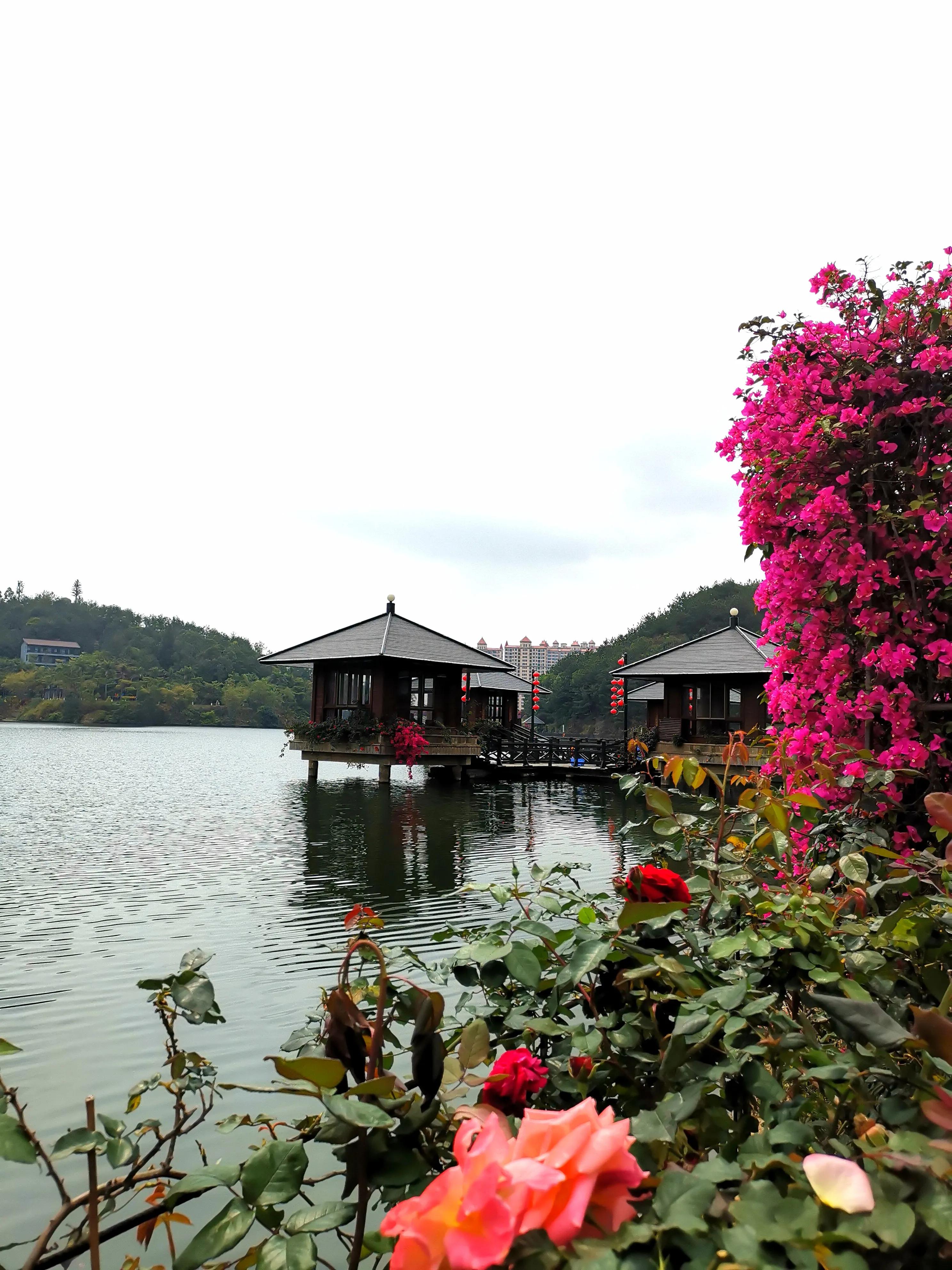 濮戝珎鏃呰璁板綍,濮戝珎鏃呰鏃ヨ