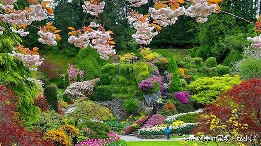 踏春寻美景,踏春赏花梯田漫步