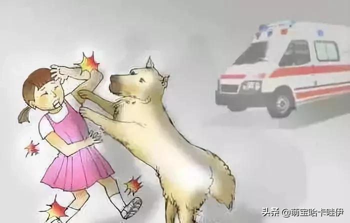 养了8年的金毛突然发狂咬人,养了8年的狗突然发狂咬主人