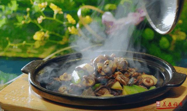 这里是四川英文,这里是成都