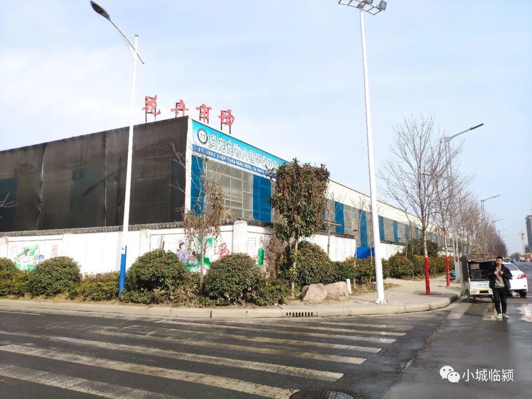 临颍花卉市场有玫瑰花么,临颍花卉市场几点开市