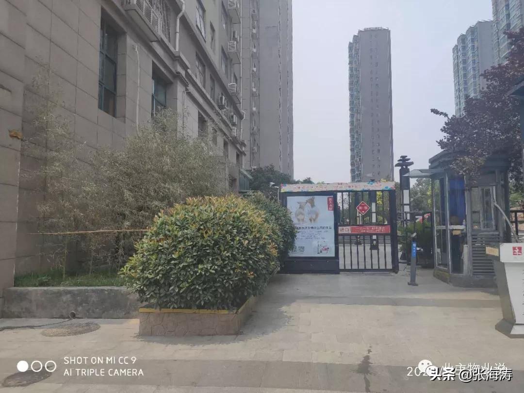 赞!旧貌换新颜,只因小区有了业主大会