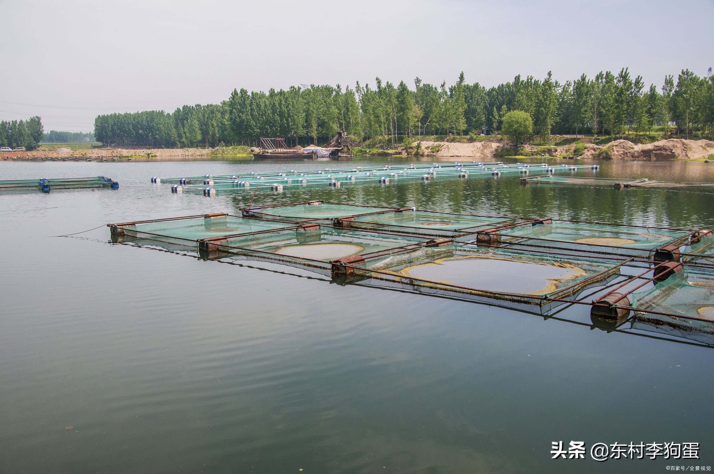 现在养殖什么最赚钱销路最好,农村最赚钱的五个养殖项目是哪些