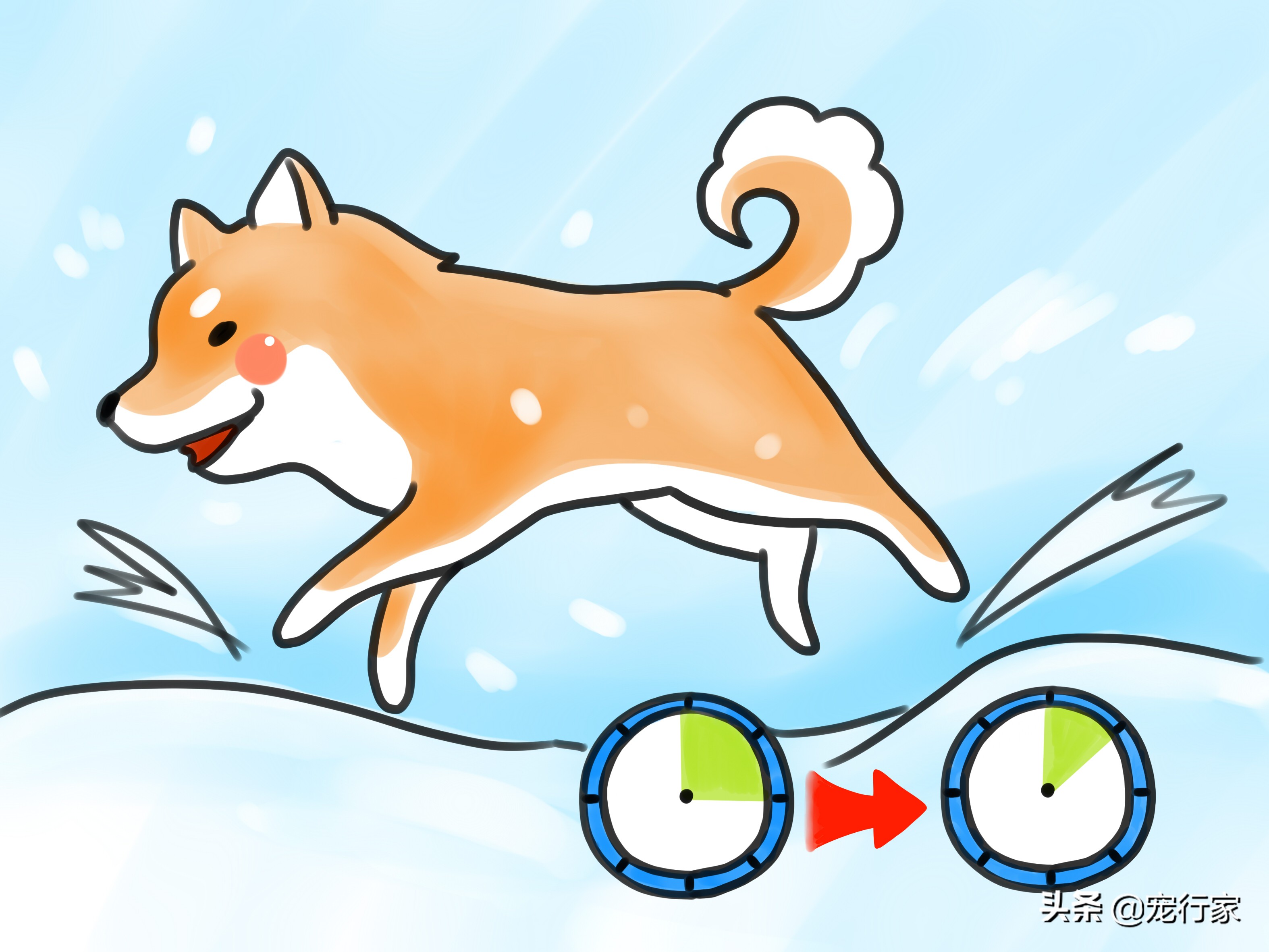 狗狗爪子指甲根部出血了怎么办,狗狗爪子受伤红肿怎么处理