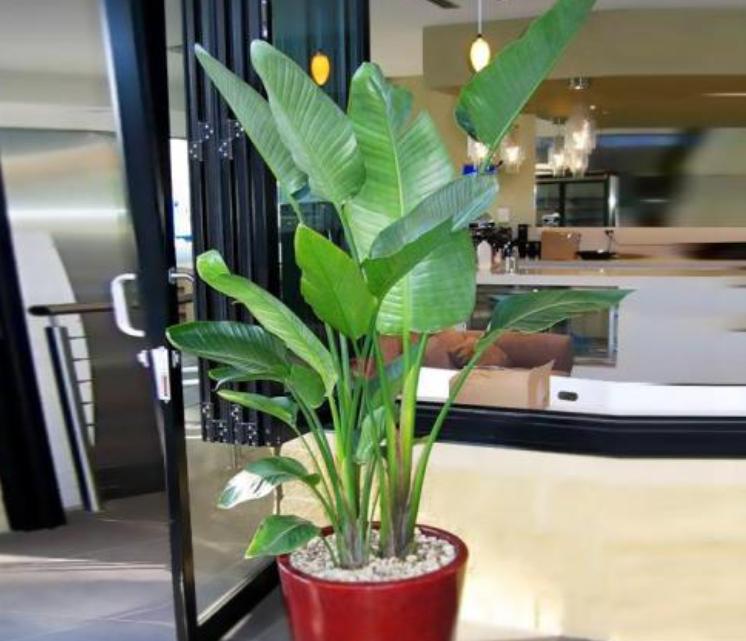 清洁灰尘最有效的方法,大灰尘怎么清理才能彻底干净