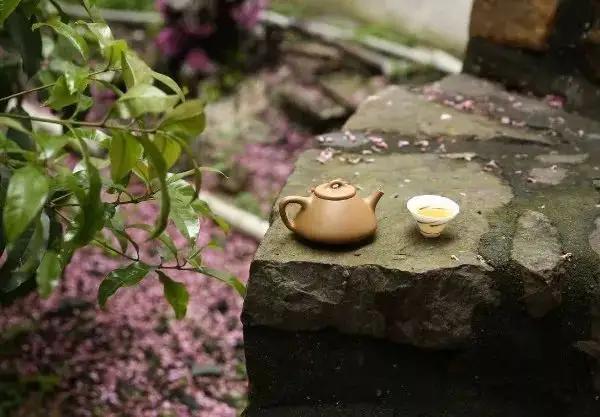 那个说“我啥也不会”的大姐，现在怎么样了？