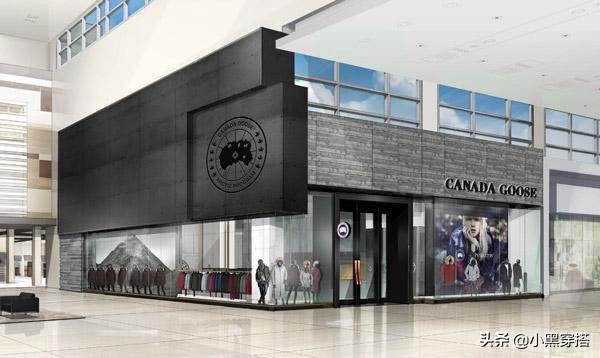 和加拿大鹅一个级别的羽绒服,与加拿大鹅媲美的户外羽绒服