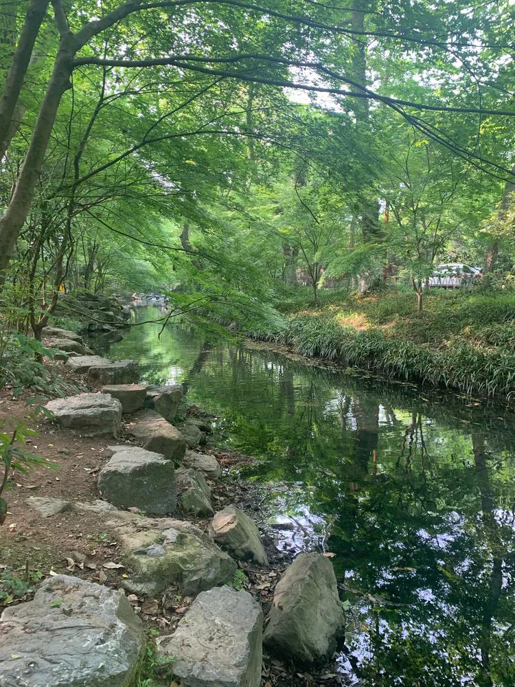 龙井村九溪十八涧徒步最佳路线图,九溪十八涧只有龙井村一个出口吗