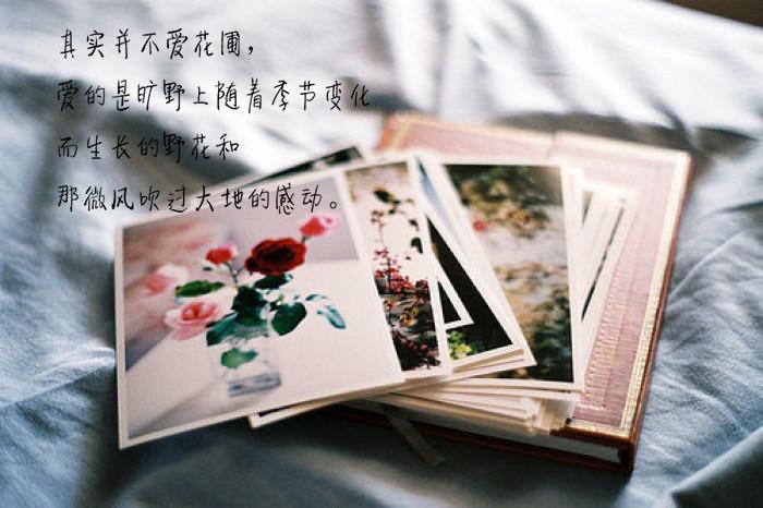 你是我无法企及的梦下一句,你是我不可触碰的梦句子