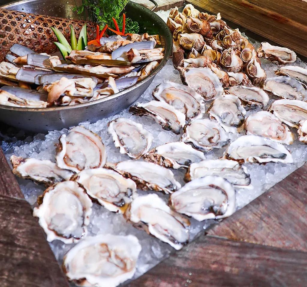 蹇呭悆鐢熻殱鑷姪鎺ㄨ崘,骞夸笢鐢熻殱鍒鸿韩鑷姪