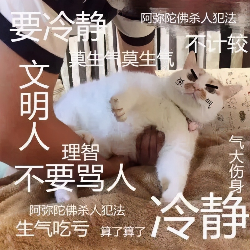 丢掉女朋友养了2年的猫,女朋友要求丢掉养了3年的猫