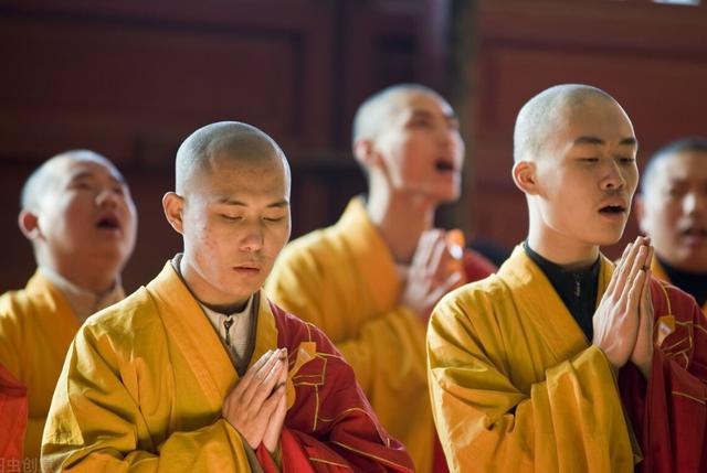 舍利子的科学解释,舍利子用科学角度看是什么东西