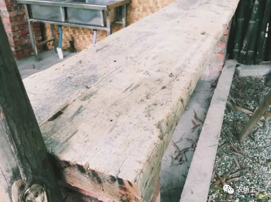 总共花了不到700元改造的废弃小院,花4万改造房子