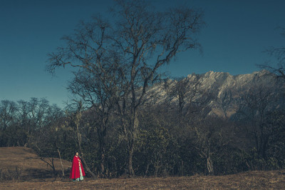运营进阶浅谈天猫店群玩法,天猫店群和淘宝店群