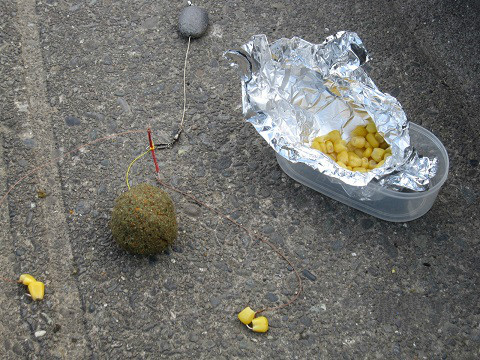 远投抛竿钓大鱼,新手钓大鱼教学视频